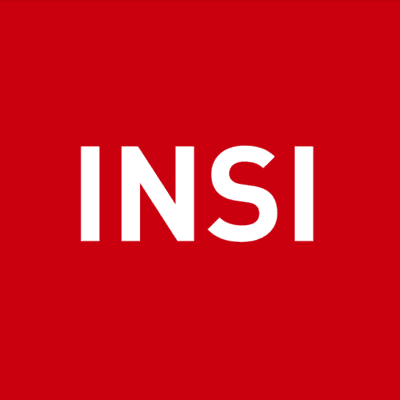 INSI Logo
